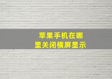 苹果手机在哪里关闭横屏显示