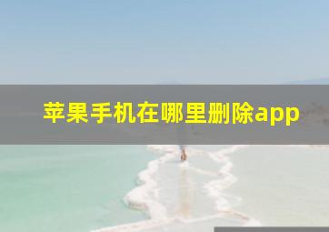 苹果手机在哪里删除app