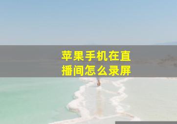 苹果手机在直播间怎么录屏