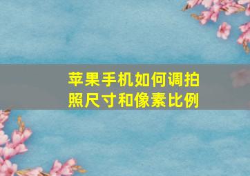 苹果手机如何调拍照尺寸和像素比例