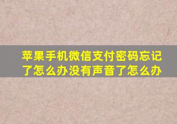 苹果手机微信支付密码忘记了怎么办没有声音了怎么办