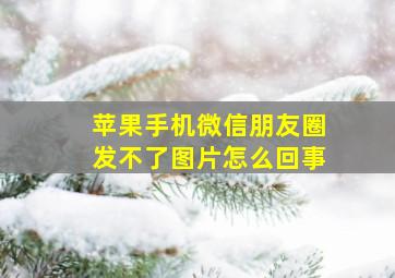 苹果手机微信朋友圈发不了图片怎么回事