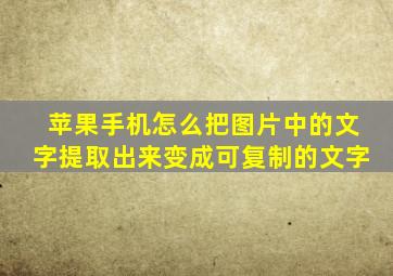 苹果手机怎么把图片中的文字提取出来变成可复制的文字