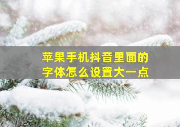 苹果手机抖音里面的字体怎么设置大一点