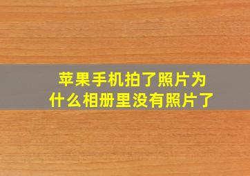 苹果手机拍了照片为什么相册里没有照片了