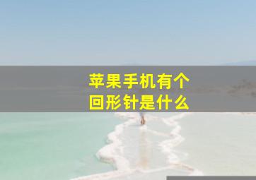 苹果手机有个回形针是什么