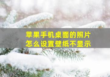 苹果手机桌面的照片怎么设置壁纸不显示