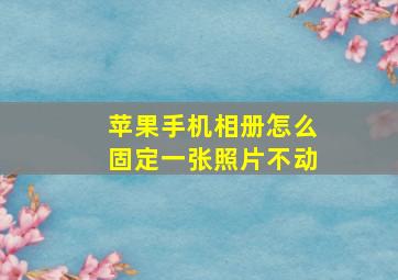 苹果手机相册怎么固定一张照片不动