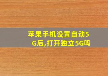 苹果手机设置自动5G后,打开独立5G吗