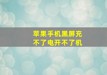 苹果手机黑屏充不了电开不了机