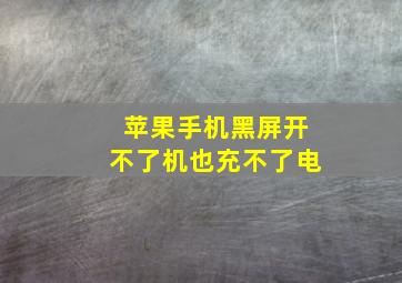 苹果手机黑屏开不了机也充不了电