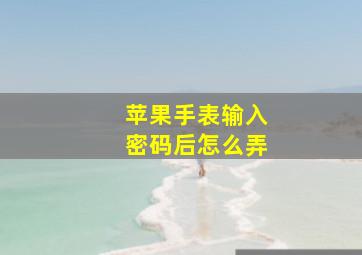 苹果手表输入密码后怎么弄