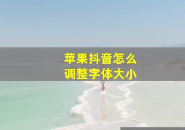 苹果抖音怎么调整字体大小