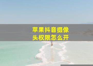 苹果抖音摄像头权限怎么开