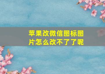 苹果改微信图标图片怎么改不了了呢