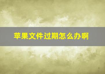 苹果文件过期怎么办啊