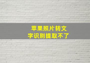 苹果照片转文字识别提取不了