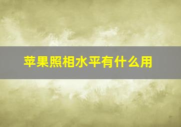 苹果照相水平有什么用