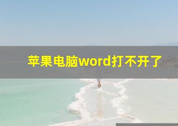 苹果电脑word打不开了