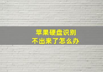 苹果硬盘识别不出来了怎么办