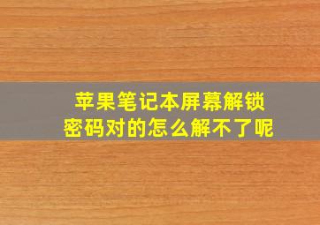 苹果笔记本屏幕解锁密码对的怎么解不了呢