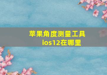 苹果角度测量工具ios12在哪里