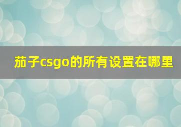 茄子csgo的所有设置在哪里