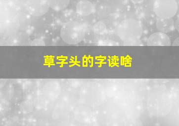 草字头的字读啥