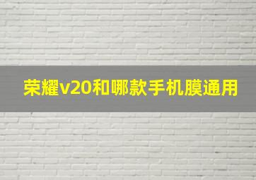 荣耀v20和哪款手机膜通用