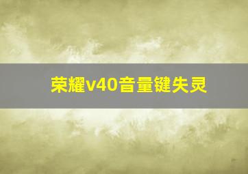 荣耀v40音量键失灵