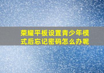 荣耀平板设置青少年模式后忘记密码怎么办呢