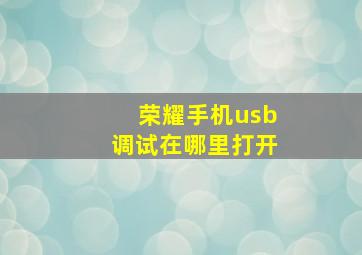 荣耀手机usb调试在哪里打开