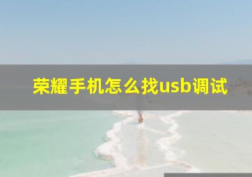 荣耀手机怎么找usb调试