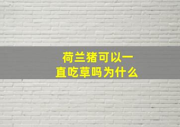 荷兰猪可以一直吃草吗为什么