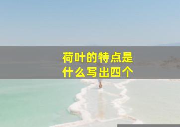 荷叶的特点是什么写出四个