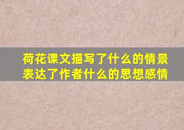 荷花课文描写了什么的情景表达了作者什么的思想感情