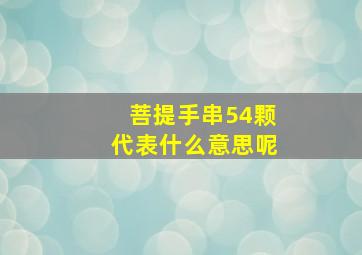 菩提手串54颗代表什么意思呢