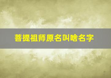 菩提祖师原名叫啥名字