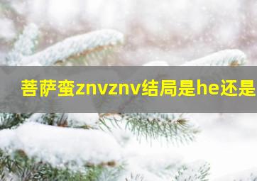 菩萨蛮znvznv结局是he还是be