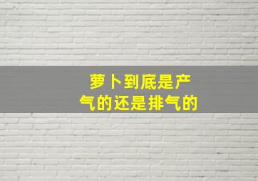 萝卜到底是产气的还是排气的