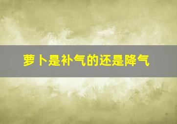 萝卜是补气的还是降气