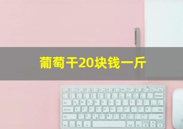 葡萄干20块钱一斤