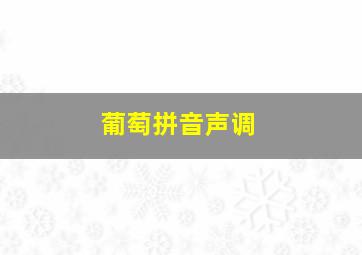 葡萄拼音声调