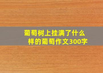 葡萄树上挂满了什么样的葡萄作文300字