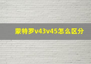 蒙特罗v43v45怎么区分