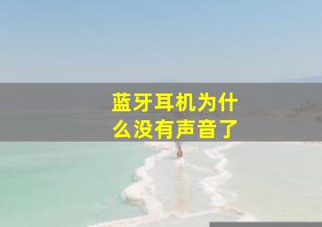 蓝牙耳机为什么没有声音了