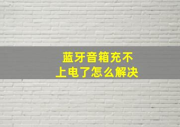 蓝牙音箱充不上电了怎么解决