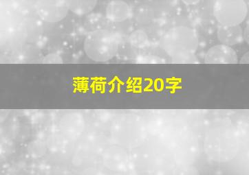 薄荷介绍20字