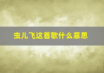 虫儿飞这首歌什么意思