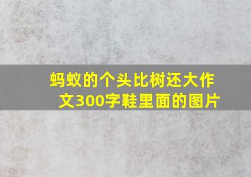 蚂蚁的个头比树还大作文300字鞋里面的图片